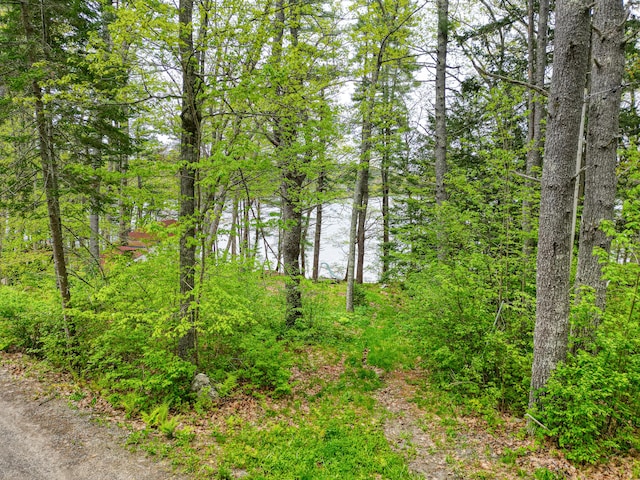 17 Lincoln Ln, Newcastle, ME 04553 - view of wooded area