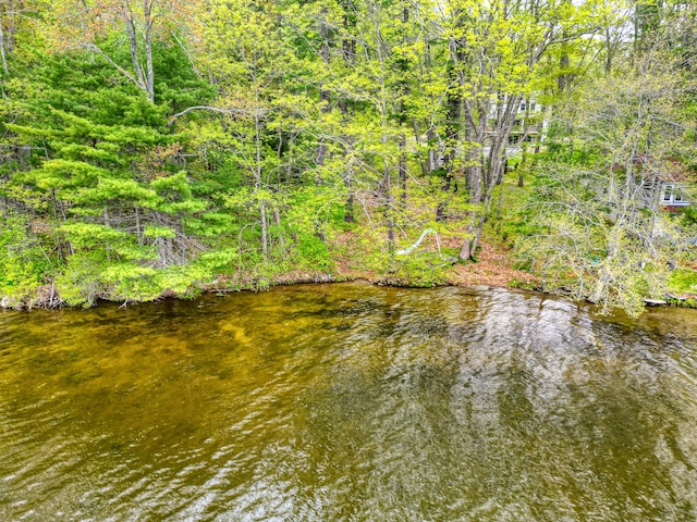 17 Lincoln Ln, Newcastle, ME 04553 - water view