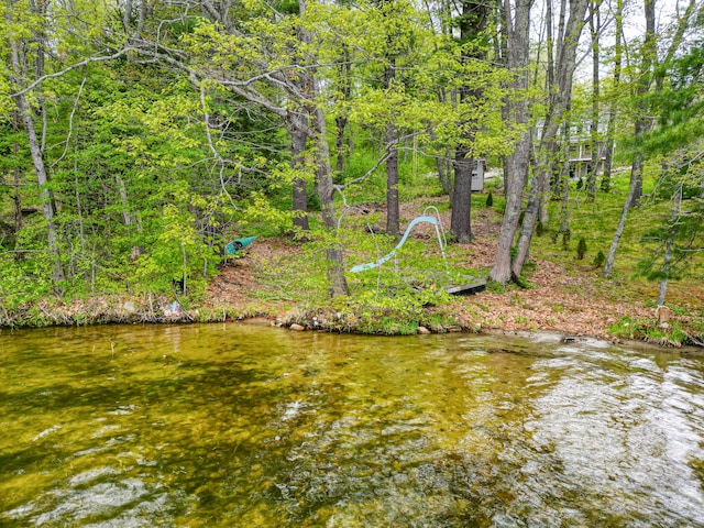 17 Lincoln Ln, Newcastle, ME 04553 - water view