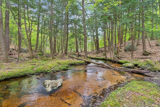 834-836 Sebago Rd, Sebago, ME 04029 - water view