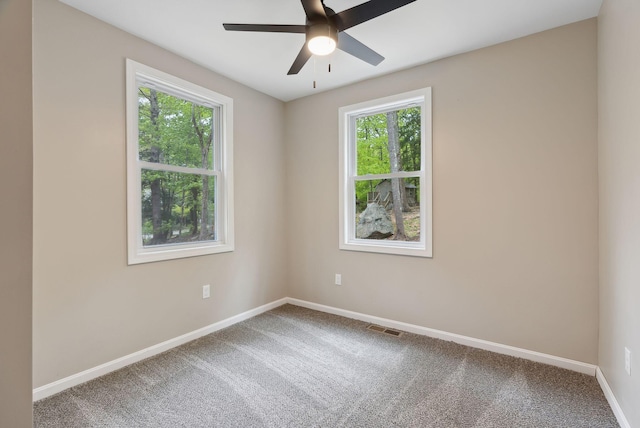 834-836 Sebago Rd, Sebago, ME 04029 - carpeted spare room with plenty of natural light, baseboards, and ceiling fan