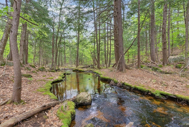 834-836 Sebago Rd, Sebago, ME 04029 - water view
