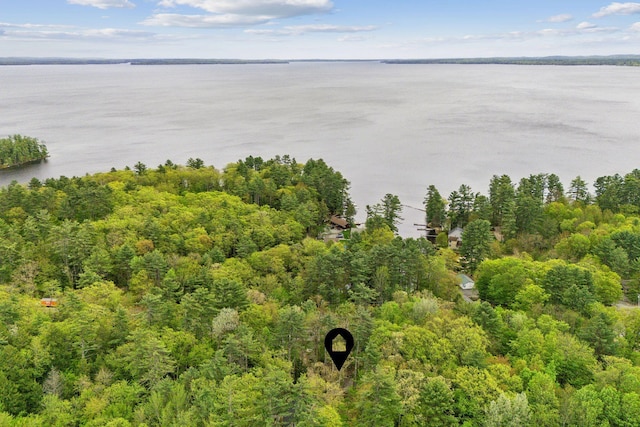 834-836 Sebago Rd, Sebago, ME 04029 - bird's eye view of a large body of water and a heavily wooded area
