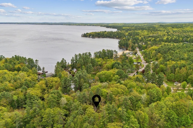 834-836 Sebago Rd, Sebago, ME 04029 - view of property location with a heavily wooded area and a nearby body of water