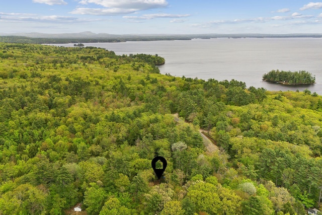 834-836 Sebago Rd, Sebago, ME 04029 - bird's eye view of a heavily wooded area and a nearby body of water