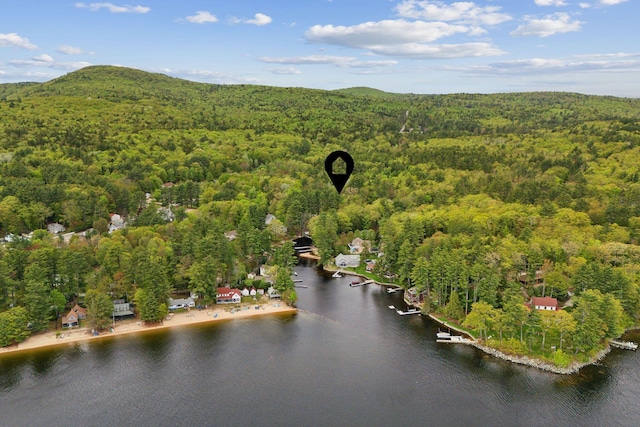 834-836 Sebago Rd, Sebago, ME 04029 - drone / aerial view of a heavily wooded area and a nearby body of water