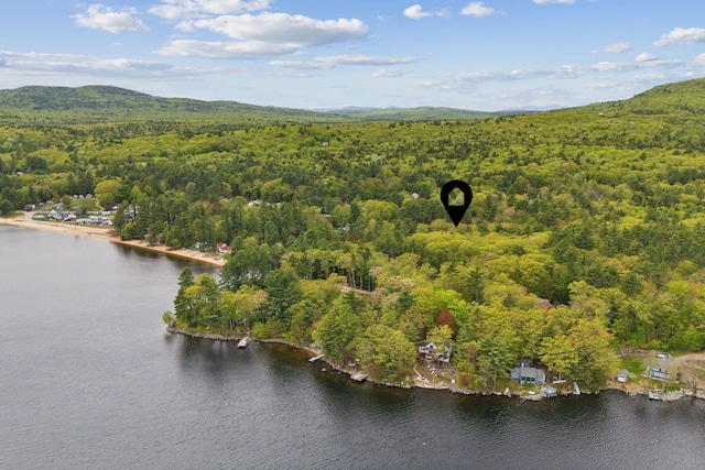 834-836 Sebago Rd, Sebago, ME 04029 - aerial view of property and surrounding area featuring a heavily wooded area and a nearby body of water