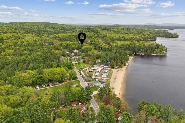 834-836 Sebago Rd, Sebago, ME 04029 - aerial view of property and surrounding area featuring a forest and a large body of water
