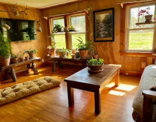 634 N Rd, Mount Chase, ME 04765 - living room featuring healthy amount of natural light, wooden walls, and wood finished floors