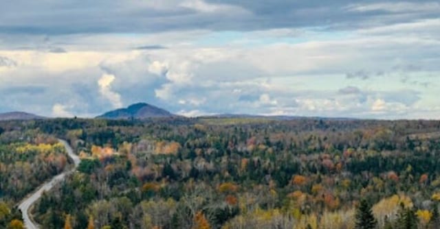 634 N Rd, Mount Chase, ME 04765 - view of mountain background featuring a heavily wooded area