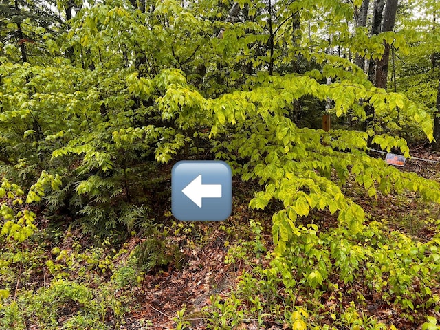 LOT001-B Pond Rd, Wilton, ME 04294