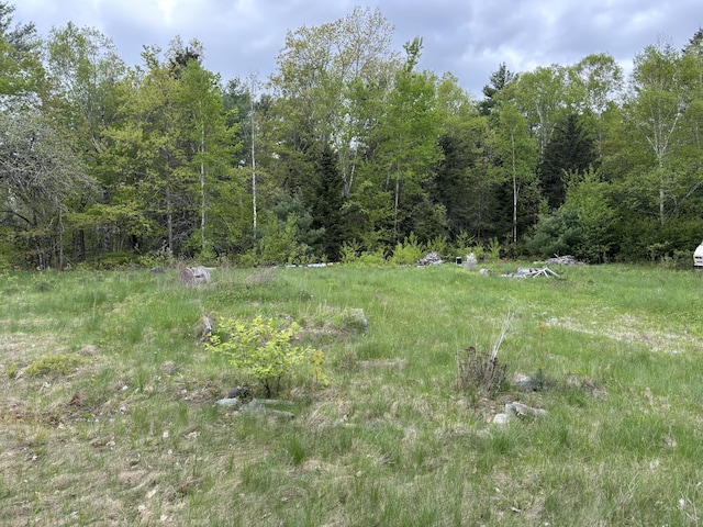 LOT4-7 Macomber Mill Rd, Eastbrook, ME 04634