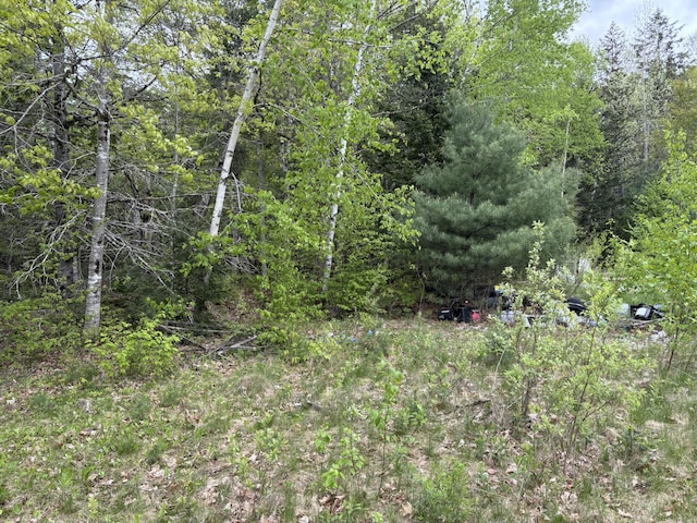 LOT4-7 Macomber Mill Rd, Eastbrook, ME 04634