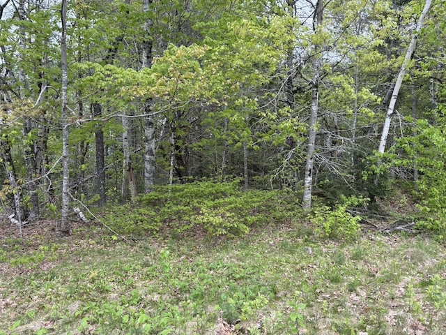 LOT4-7 Macomber Mill Rd, Eastbrook, ME 04634