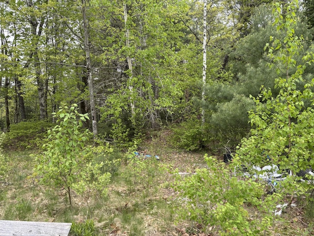 LOT4-7 Macomber Mill Rd, Eastbrook, ME 04634