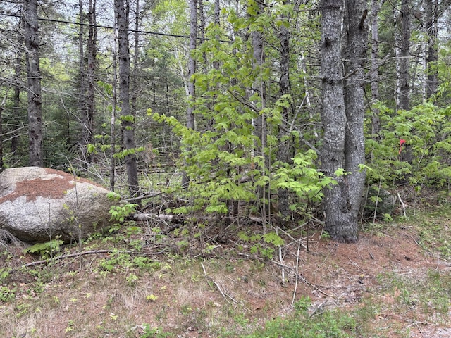 LOT4-7 Macomber Mill Rd, Eastbrook, ME 04634