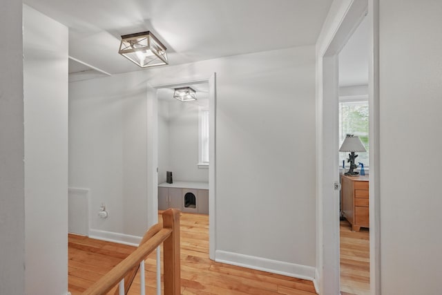 29 Emanual Dr, Brunswick, ME 04011 - hall with light wood-type flooring and baseboards