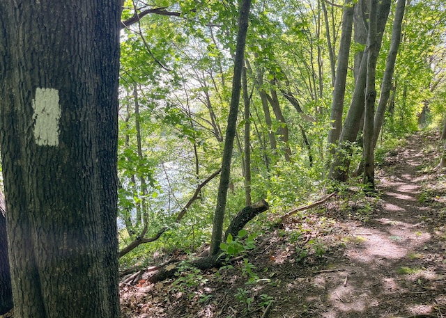 22 Cormorant Pl Unit 22, South Portland, ME 04106 - view of wooded area