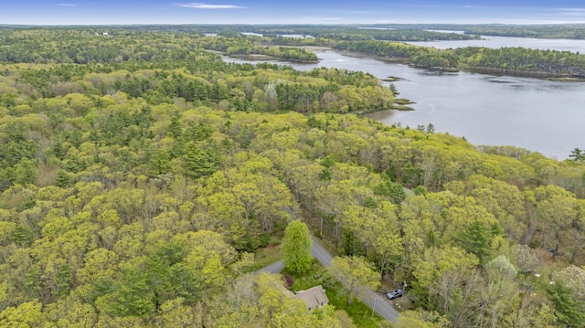 241 Old Stage Rd, Arrowsic, ME 04530 - view of property location with a heavily wooded area and a large body of water