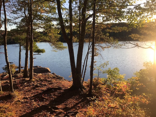 241 Old Stage Rd, Arrowsic, ME 04530 - water view