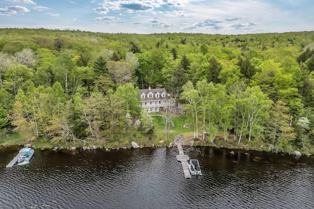 700 Pond Rd, Saint Albans, ME 04971 - view of subject property featuring a forest and a large body of water