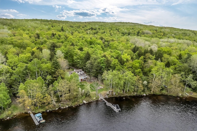 700 Pond Rd, Saint Albans, ME 04971 - aerial view of a forest and a large body of water