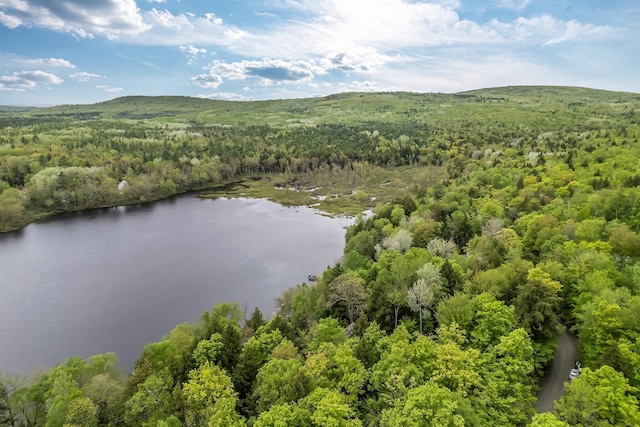 700 Pond Rd, Saint Albans, ME 04971 - drone / aerial view of a forest and a water and mountain view