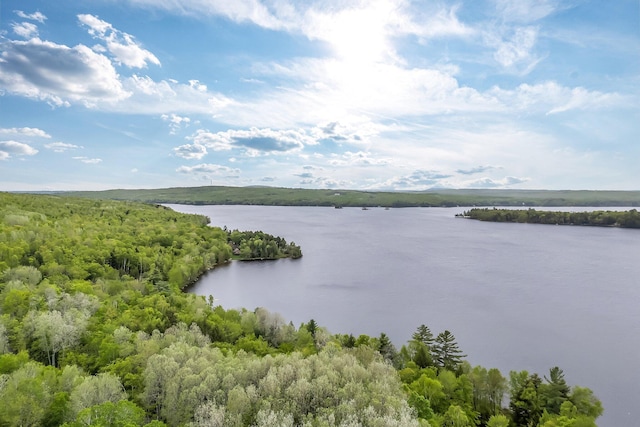 700 Pond Rd, Saint Albans, ME 04971 - water view with a forest