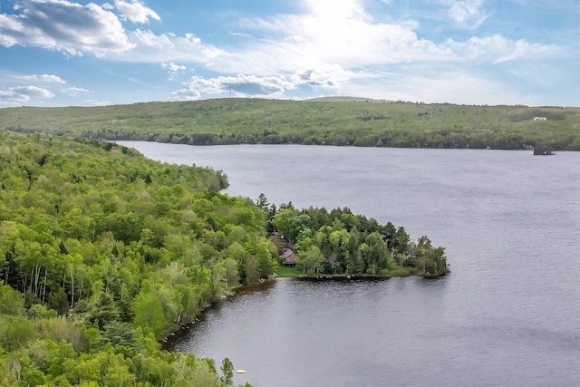 700 Pond Rd, Saint Albans, ME 04971 - water view featuring a heavily wooded area