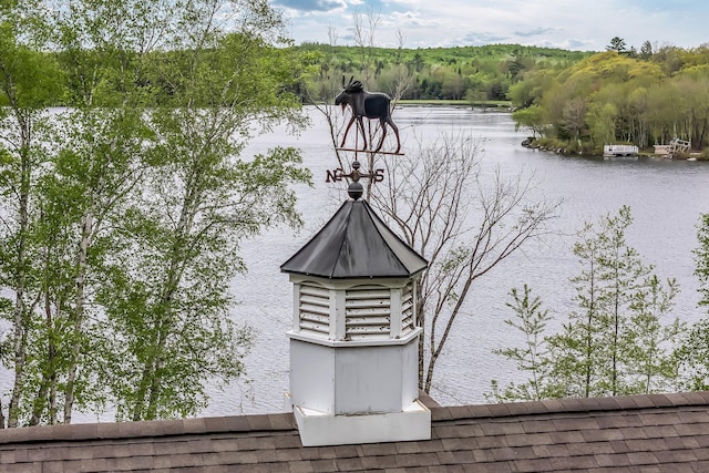 700 Pond Rd, Saint Albans, ME 04971 - exterior view of a forest