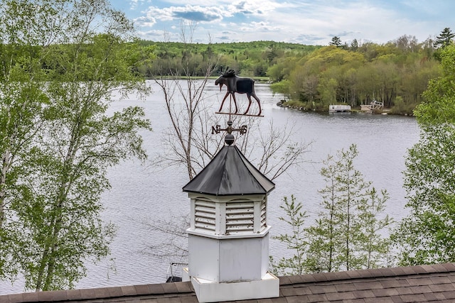 700 Pond Rd, Saint Albans, ME 04971 - water view with a heavily wooded area and a dock
