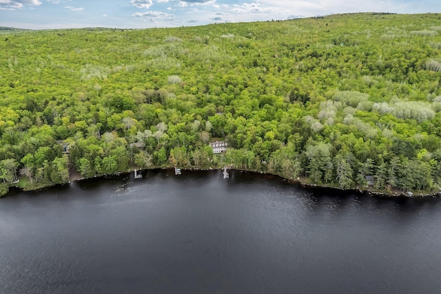 700 Pond Rd, Saint Albans, ME 04971 - bird's eye view of a forest and a large body of water