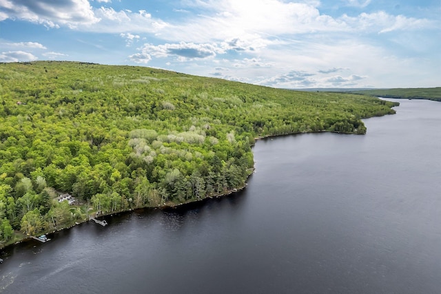 700 Pond Rd, Saint Albans, ME 04971 - aerial view of a forest and a nearby body of water