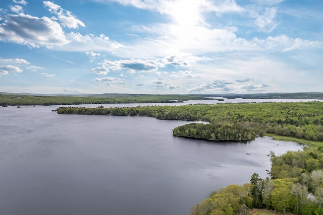 700 Pond Rd, Saint Albans, ME 04971 - water view with a forest
