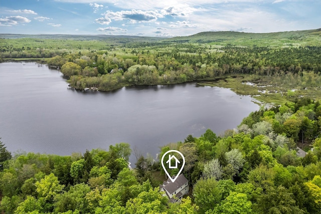 700 Pond Rd, Saint Albans, ME 04971 - drone / aerial view of a forest and a nearby body of water