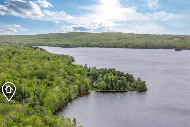 700 Pond Rd, Saint Albans, ME 04971 - aerial view of a forest and a large body of water