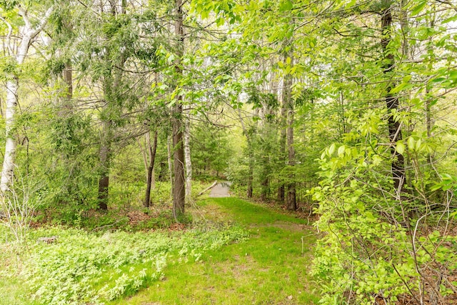 19 Winding Brook Ln S Unit 19, Wells, ME 04090 - view of wooded area