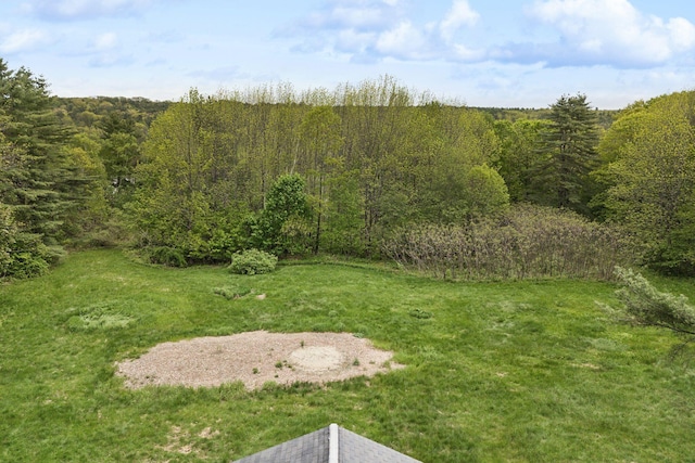 705707 Maine Ave, Farmingdale, ME 04344 - view of grassy yard featuring a forest view
