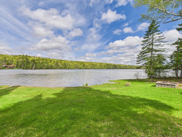 1107 S Shore Rd, Madawaska Lake Twp, ME 04783 - water view featuring a heavily wooded area