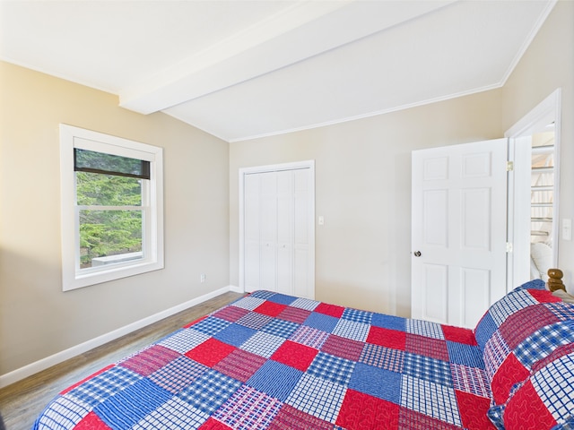1107 S Shore Rd, Madawaska Lake Twp, ME 04783 - bedroom featuring wood finished floors, baseboards, beam ceiling, a closet, and ornamental molding