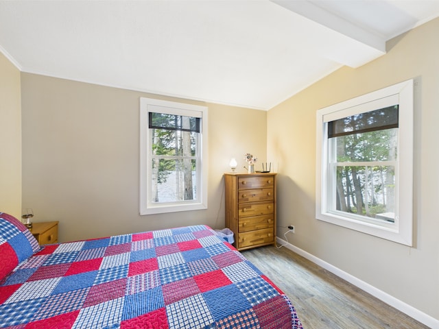 1107 S Shore Rd, Madawaska Lake Twp, ME 04783 - bedroom featuring wood finished floors and baseboards