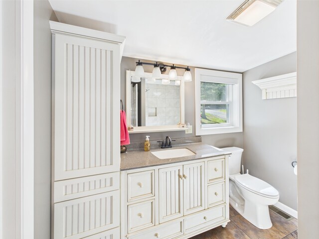 1107 S Shore Rd, Madawaska Lake Twp, ME 04783 - full bathroom with toilet, vanity, baseboards, and a shower