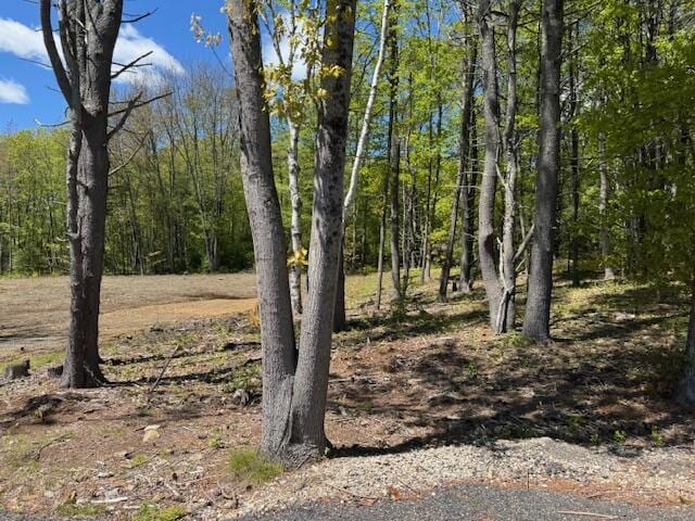 3 Fiddlehead Ln, Old Orchard Beach, ME 04064