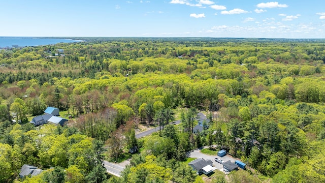 3 Fiddlehead Ln, Old Orchard Beach, ME 04064
