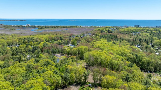 3 Fiddlehead Ln, Old Orchard Beach, ME 04064