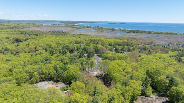 3 Fiddlehead Ln, Old Orchard Beach, ME 04064