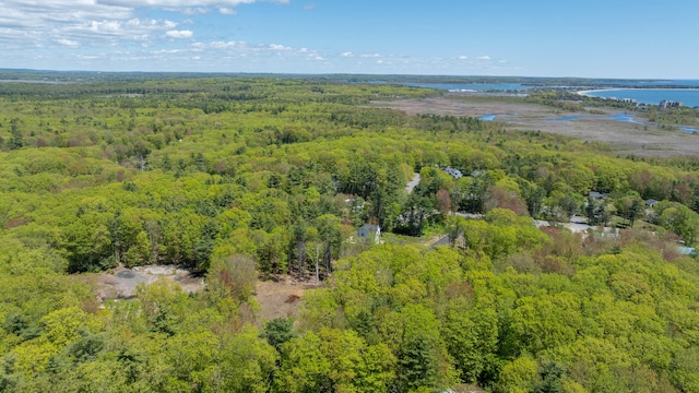3 Fiddlehead Ln, Old Orchard Beach, ME 04064
