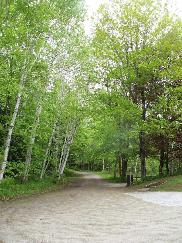 593 S Strong Rd, Strong, ME 04983 - view of property's community featuring a wooded view
