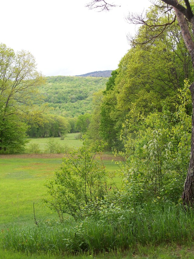 593 S Strong Rd, Strong, ME 04983 - mountain view featuring a forest