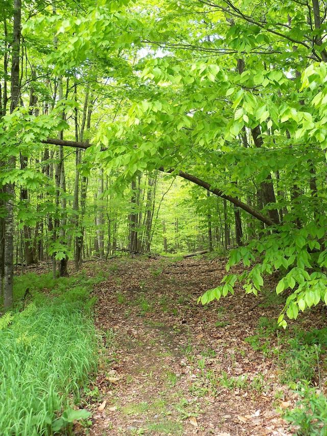 593 S Strong Rd, Strong, ME 04983 - view of undeveloped land